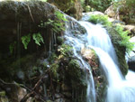Das Bild zeigt einen Wasserfall im Nachtigallental